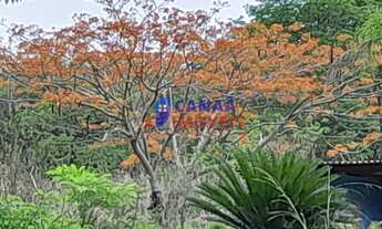 Imagem: Chácara à venda! Escriturada