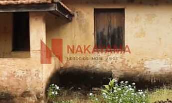 Imagem 3: LINDO SITIO/AREA PRODUTIVA LOCALIZADA NO BRATISLAVA CAMBÉ-PR