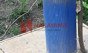 Imagem 6: LINDO SITIO/AREA PRODUTIVA LOCALIZADA NO BRATISLAVA CAMBÉ-PR