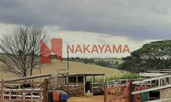 Imagem 4: LINDO SITIO/AREA PRODUTIVA LOCALIZADA NO BRATISLAVA CAMBÉ-PR