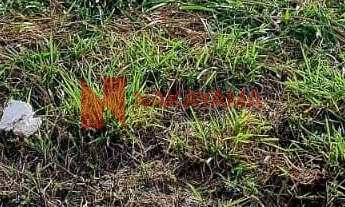 Imagem: Terreno em Condomínio com 155m² - Zona