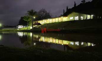 Imagem 4: Chácara Próxima ao Patrimônio Selva - Londrina