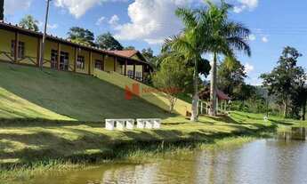 Imagem 3: Chácara Próxima ao Patrimônio Selva - Londrina