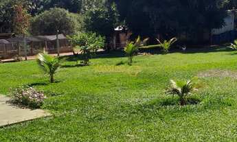 Imagem: Fazenda à venda no bairro Centro - Araguari/MG