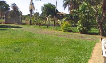 Imagem 3: Fazenda à venda no bairro Centro - Araguari/MG