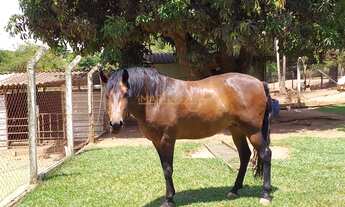 Imagem 7: Fazenda à venda no bairro Centro - Araguari/MG