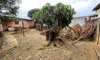Imagem: Terreno à venda no bairro Centro - Araguari/MG