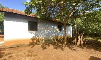 Imagem 4: Vendo chácara localizada no Distrito de Piracaíba, a 48km de Araguari!