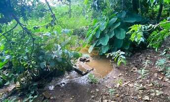 Imagem 7: Vendo chácara localizada no Distrito de Piracaíba, a 48km de Araguari!
