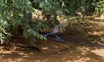 Imagem 3: Vendo chácara localizada no Distrito de Piracaíba, a 48km de Araguari!