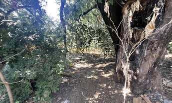 Imagem 2: Terreno à venda no bairro Goiás - Araguari/MG