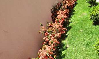 Imagem 7: Casa à venda no bairro Aeroporto - Araguari/MG