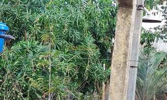 Imagem: Rancho à venda no bairro Área Rural de