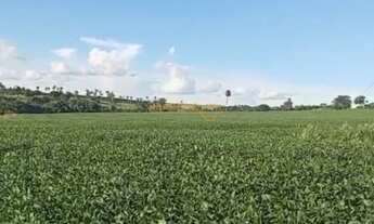 Imagem: Fazenda à venda no bairro Centro - Araguari/MG