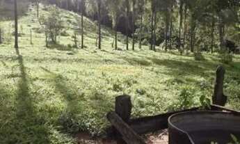 Imagem 7: Sítio à venda no bairro Centro - Araguari/MG