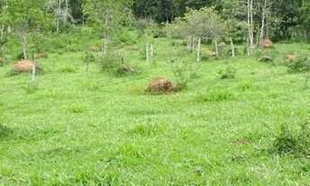 Imagem 2: Sítio à venda no bairro Centro - Araguari/MG