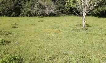 Imagem 4: Sítio à venda no bairro Centro - Araguari/MG