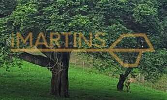 Imagem: Fazenda à venda no bairro Área Rural de