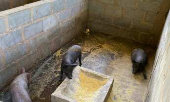 Imagem 6: Fazenda à venda no bairro Centro - Araguari/MG