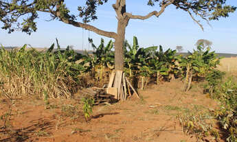 Imagem: Chácara à venda no bairro Área Rural