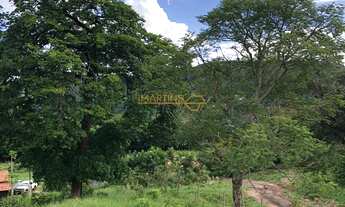 Imagem 5: Terreno com 38,000 mil metros á 26 km de Araguari