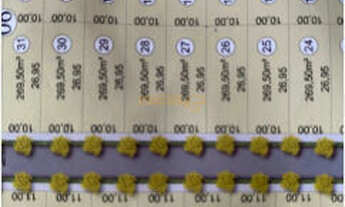 Imagem 5: Terreno à venda no bairro Miranda - Araguari/MG