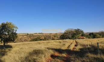 Imagem: Fazenda em Araguari
