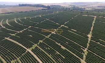 Imagem 6: Fazenda à venda no bairro Centro - Araguari/MG
