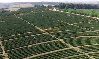 Imagem 7: Fazenda à venda no bairro Centro - Araguari/MG