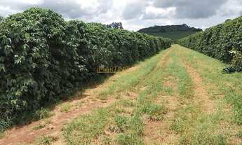Imagem: Fazenda à venda no bairro Centro - Araguari/MG