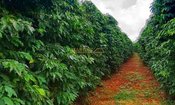 Imagem 3: Fazenda à venda no bairro Centro - Araguari/MG