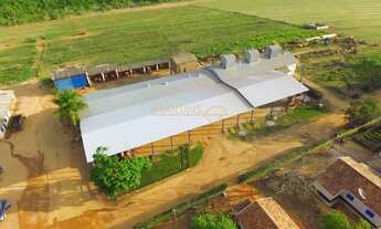 Imagem 5: Fazenda à venda no bairro Centro - Araguari/MG
