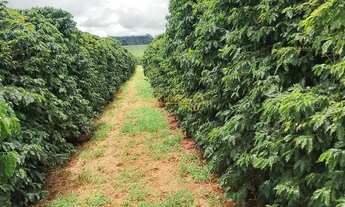 Imagem 2: Fazenda à venda no bairro Centro - Araguari/MG