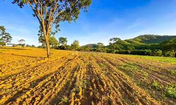 Imagem 3: Fazenda à venda – Serra do Barracão, sentido Caldas Novas - Araguari-MG