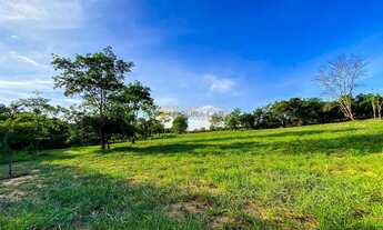 Imagem 6: Fazenda à venda – Serra do Barracão, sentido Caldas Novas - Araguari-MG