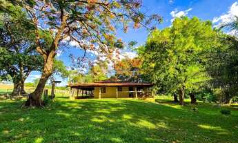 Imagem 2: Fazenda à venda – Serra do Barracão, sentido Caldas Novas - Araguari-MG