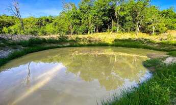 Imagem 7: Fazenda à venda – Serra do Barracão, sentido Caldas Novas - Araguari-MG