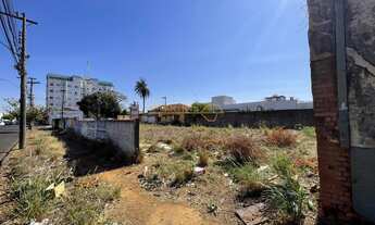 Imagem: Barracão no bairro Bosque - Araguari/MG