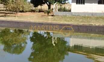 Imagem 2: Fazenda em Araguari