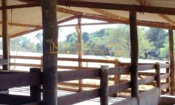 Imagem 5: Fazenda em Araguari