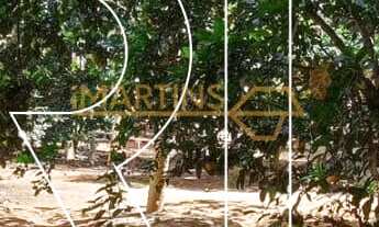 Imagem 6: Chácara à venda no bairro Setor Lagoa Quente - Caldas Novas/GO