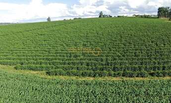 Imagem 3: Fazenda à venda no bairro Centro - Araguari/MG