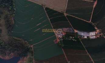 Imagem 5: Fazenda à venda no bairro Centro - Araguari/MG