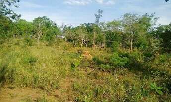 Imagem 3: Terreno à venda no bairro Zona Rural - Araguari/MG