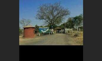 Imagem 4: Terreno à venda no bairro Zona Rural - Araguari/MG