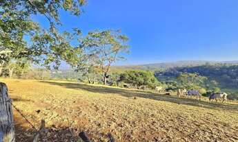 Imagem: Fazenda à venda no bairro Área Rural de