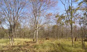 Imagem 6: ÁREA Araguari, 11111M² de Área Construída, 11111M² de Área Total