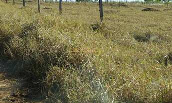 Imagem: Fazenda em Araguari