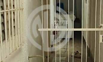 Imagem 4: Terreno em Jardim Germânia, São Paulo/SP