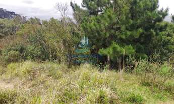 Imagem 2: Terreno à venda no bairro JARDIM NESITA - Campina Grande do Sul/PR